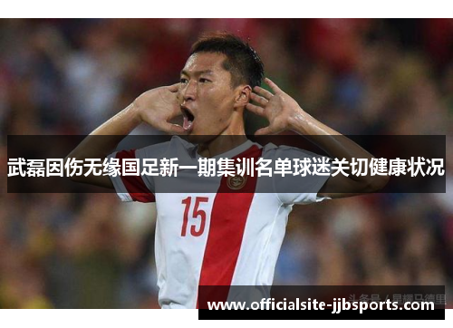 武磊因伤无缘国足新一期集训名单球迷关切健康状况 武磊因伤无缘国足新一期集训名单球迷关切健康状况